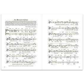This Is My Story This Is My Song (Notbok) Peter Sandwall - Bild 5